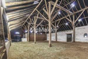 Traumhafte Deichlage für Pferdefreunde: Gehobenes Bauernhaus mit Reithalle, Stallboxen und Hallenbad – Die vollständige Adresse der Immobilie erhältst du vom Anbieter., 26844 Jemgum – Vorschaubild 16