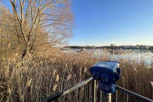 Property thumbnail 37