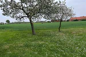 Bauernhof mit arrondierten Weide- und Ackerflächen, ideal für Pferdehaltung – Nienburg (Weser) (Kreis) – Vorschaubild 24