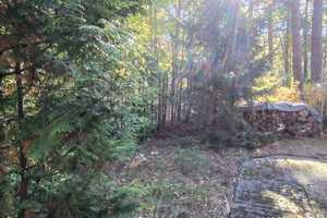 Haus im Wald am See auf Eigentum! – Waldstraße 5, 15913 Dahme-Spreewald (Kreis) – Vorschaubild 6