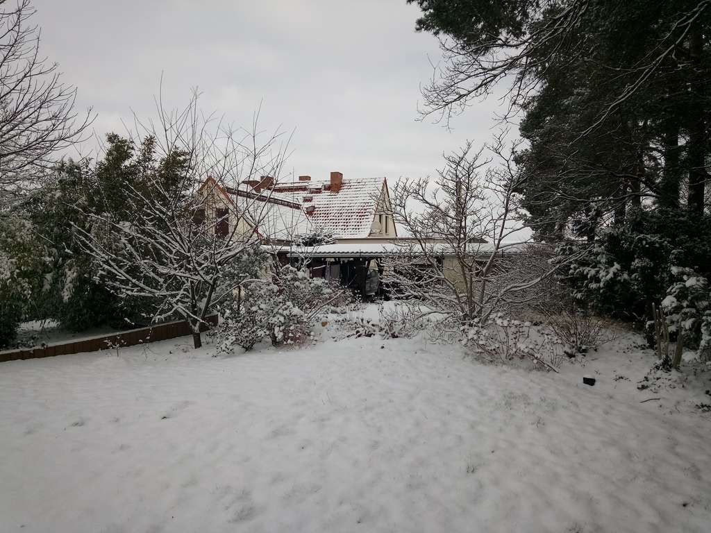 Immobilie in Jessen (Elster) - Charmantes Reihenhaus mit 4 Zimmern in Klöden - Bild 4