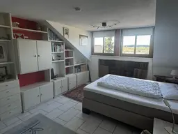 Zimmer DG