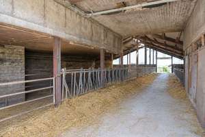 Resthof mit Hauskoppel, Stallungen, Schuppen und Ausbaureserve in Friedrichsholm - mitten in SH – Die vollständige Adresse der Immobilie erhältst du vom Anbieter., 24799 Friedrichsholm – Vorschaubild 13