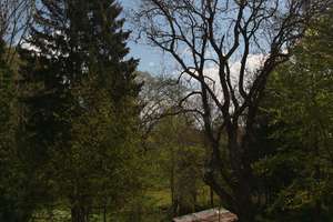 Helle Penthousewohnung am Englischen Garten – Die vollständige Adresse der Immobilie erhältst du vom Anbieter., 80939 Obere Isarau, München – Vorschaubild 9