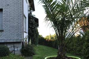 1-3 Fam. Haus ca 360 qm in WILLEBADESSEN zwischen HÖXTER+PADERBORN+NEBENGEBÄUDE +1000 qm GRUNDSTÜCK – Die vollständige Adresse der Immobilie erhältst du vom Anbieter., 34439 Willebadessen – Vorschaubild 11