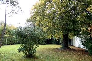 ROOMS4 - familienfreundliche DHH mit Traumgarten in bester Lage Moosach – Die vollständige Adresse der Immobilie erhältst du vom Anbieter., 80993 Alt-Moosach, München – Vorschaubild 7