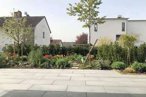 Luxus Loft mit Garten im grünen Stadtrand seitlich der Waldstrasse – Weinfeldstraße xx, 65187 Biebrich, Wiesbaden – Vorschaubild 15