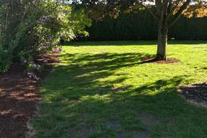 Doppelhaushälfte 130 qm 6ZK2B mit eigenem Gartenareal – Die vollständige Adresse der Immobilie erhältst du vom Anbieter., 57612 Busenhausen – Vorschaubild 11