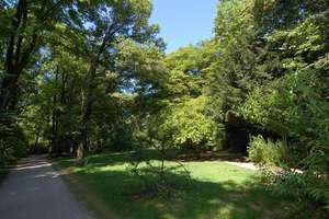 Wohnen am Englischen Garten! – Oettingenstr. 53, 80538 Englischer Garten, München – Vorschaubild 11