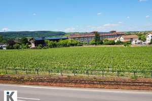 Stilvolle Villa mit historischem Charme in Bad Dürkheim – Bad Dürkheim (Kreis) – Vorschaubild 29