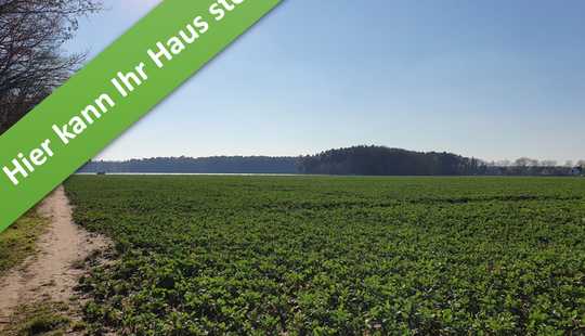 Bild von Ein Haus mit Charme im kommenden Baugebiet in Wathlingen.