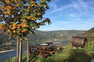 Arbeiten mit Rheinblick | Moderne DHH im Rheingau I Perfekt angebunden I Provisionsfrei ! – Untere Roppelsgasse 2-10, 65375 Oestrich-Winkel – Vorschaubild 2