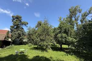 2 Wohnhäuser!! Bauernhaus mit Austragshaus / ehem. Hofstelle-Scheune-Obstgarten Nähe Ringelai – Die vollständige Adresse der Immobilie erhältst du vom Anbieter., 94160 Ringelai – Vorschaubild 8