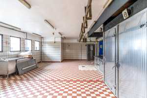 Provisionsfrei: Ihr großzügiges Wohn- und Geschäftshaus in Hellenthal! – Reifferscheider Str. 14, 53940 Euskirchen (Kreis) – Vorschaubild 17