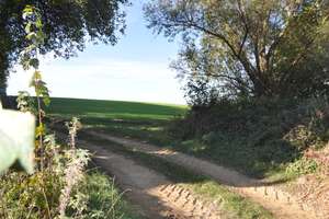 Property thumbnail 13