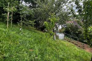 *Gepflegtes Haus mit 3 Wohnungen, Balkon, Terrasse &Garage zu verkaufen* – Die vollständige Adresse der Immobilie erhältst du vom Anbieter., 75239 Eisingen – Vorschaubild 22