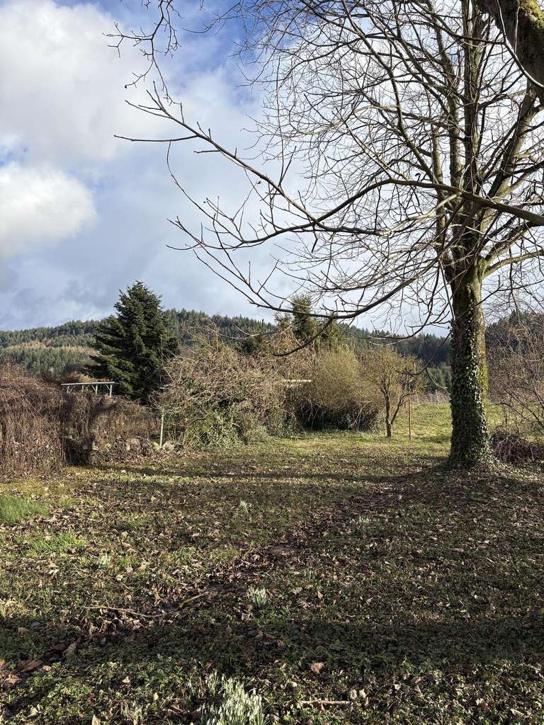 Immobilie in Bühl - Handwerker gesucht! - Bild 2