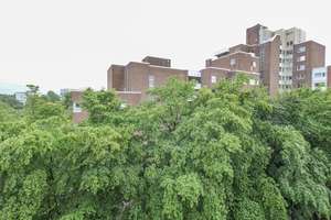 Über den Dächern der Gartenstadt Reitzenstein – Penthouse mit Dachterrasse – 40470 Mörsenbroich, Düsseldorf – Vorschaubild 9