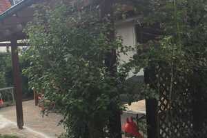 Einfamilienhaus in München Aubing - Termin So 11.05. um 10:00 Uhr - nach ANMELDUNG – Trimburgstraße 3, 81249 München – Vorschaubild 13