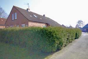 *Ruhige Lage*Sackgassenlage* Einbauküche*Scheune*Carport *überdachte Terrasse*Top Verkehrsanbindung – Leer (Kreis) – Vorschaubild 3