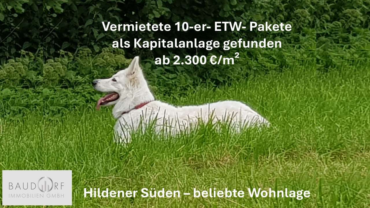 Vermietete 10-er-ETW- Pakete als Kapitalanlage, Mettmann Kreis – Bild 1