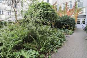 Property thumbnail 15