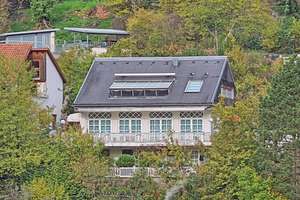 Top-Basis am Südhang mit Traumhaus-Potenzial! – Die vollständige Adresse der Immobilie erhältst du vom Anbieter., 69121 Handschuhsheim, Heidelberg – Vorschaubild 4