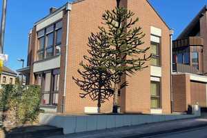 Freistehendes Einfamilienhaus in bevorzugter Lage von Aachen-Eilendorf – Aachen – Vorschaubild 1