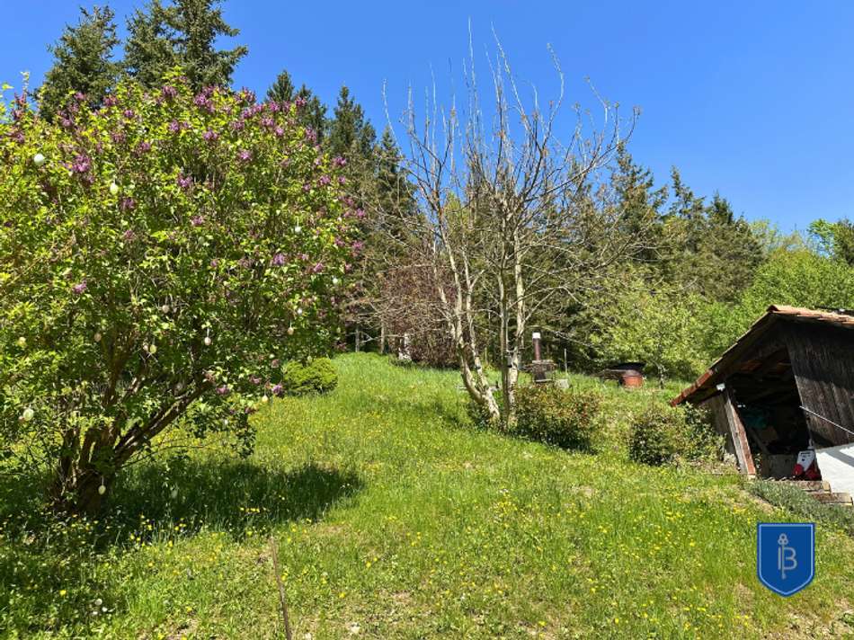 kleiner eigener Wald