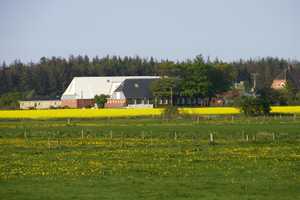 -Handwerkerprojekt: Resthof mit Nebengebäuden und am Haus gelegener Grünlandfläche- – Nordfriesland (Kreis) – Vorschaubild 16