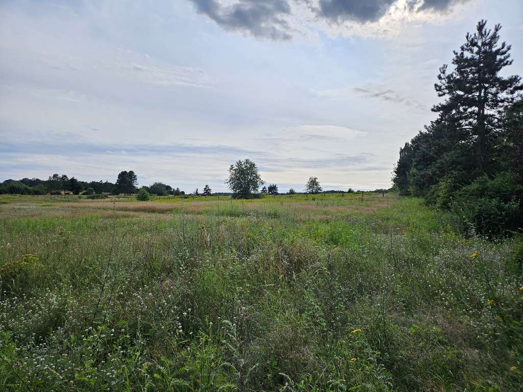 Immobilie in Burgwedel - Das Haus für alle Lebensphasen im kommenden Baugebiet in Wettmar. - Bild 2
