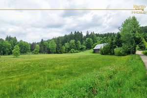 Schwarzwaldhaus im Naturschutzgebiet - Sonnenlage – Oberhöllensteig 6, 79874 Breitnau – Vorschaubild 8