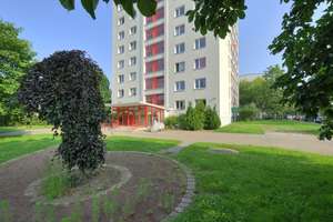 Singlewohnung ab Juli – Oppiner Straße 19, 6118 Trotha, Halle (Saale) – Vorschaubild 8