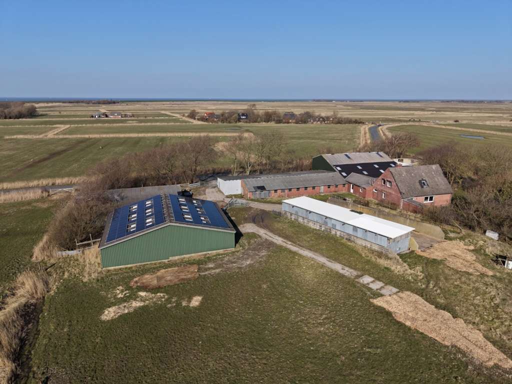 Immobilie in Westerhever - Ahndelhof - Bild 1