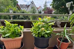 Vermietete 2,5-Zimmer-Wohnung mit Balkon und Stellplatz im gewachsenen Wohngebiet von Nürnberg-Alte – Die vollständige Adresse der Immobilie erhältst du vom Anbieter., 90475 Altenfurt, Moorenbrunn, Nürnberg – Vorschaubild 12