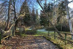 4-Seiten-Hof mit 260 qm Wohnfläche, Nebengelass und riesigem Garten – "die alte Mühle" - PV-Anlage – Gotha (Kreis) – Vorschaubild 5