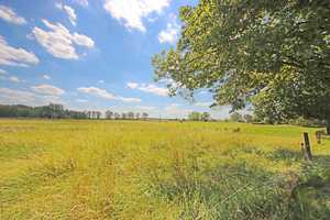 Luxuriöses Wohnen mit 4 abgeschl. Wohnungen und je einer dazugeh. Doppelgarage auf 9.000 m² Grdst. – Wittenberg (Kreis) – Vorschaubild 53
