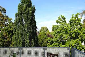 HIGHLIGHT Wohnung an der Rosenhöhe mit privater XL- Terrasse, Balkon und Tiefgaragenstellplatz – Die vollständige Adresse der Immobilie erhältst du vom Anbieter., 64287 Darmstadt-Ost, Darmstadt – Vorschaubild 18