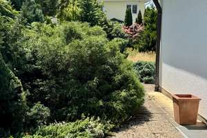 Traumhaft ruhige Lage! Bezugsfertiger Preis und alles inkl. ( Keller u. Außenanlage ) – Die vollständige Adresse der Immobilie erhältst du vom Anbieter., 81825 Waldtrudering, München – Vorschaubild 10