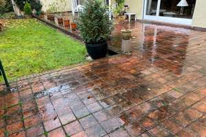 Furnished or unfurnished U.S. Welcome! 100 m2 Terrasse schöner Park  Altbau ,Au Pair Room möglich – Die vollständige Adresse der Immobilie erhältst du vom Anbieter., 65203 Biebrich, Wiesbaden – Vorschaubild 21