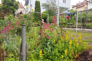 Zuhause mit 3 Zimmern in zentraler Lage von Stuttgart Ost – 70186 Gaisburg, Stuttgart – Vorschaubild 16