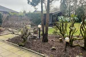 Endlich Platz am Haus! Familienfreundlich, altersgerecht mit Garten, Garage, Kamin und Ausbaureserve – Oberhausen – Vorschaubild 12