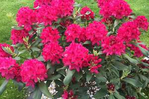 Property thumbnail 31