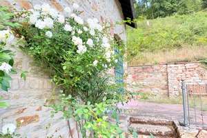 Naturnah und beschaulich Wohnen im romantischen Rheingauer Mühlenanwesen – 65399 Kiedrich – Vorschaubild 6