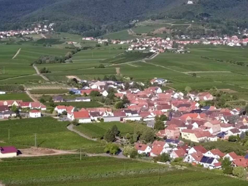 Flemlingen Vogelperspektive