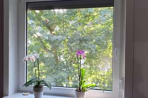 Ruhig, grün, gut geschnitten: 3-Zi.-Whg. mit 2 Loggias & EBK in Hastedt - frei ab Herbst 2027 – Die vollständige Adresse der Immobilie erhältst du vom Anbieter., 28207 Hastedt, Bremen – Vorschaubild 10