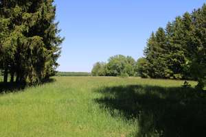 Wohnhaus im Außenbereich von Peißenberg mit landwirtschaftlichem Grund zu verkaufen! – Die vollständige Adresse der Immobilie erhältst du vom Anbieter., 82380 Peißenberg – Vorschaubild 11