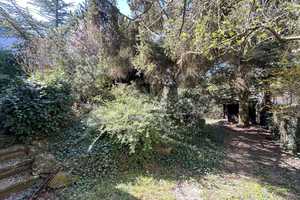 Einfamilienhaus mit nahezu ebenem Gartenparadies – Stuttgart – Vorschaubild 3