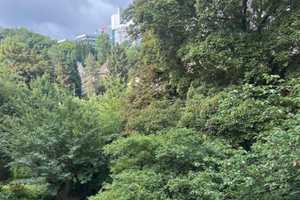 2 -Zimmer-Wohnung in Top-Lage Wuppertal /Uni-Nähe & WG geeignet  – Augustastraße 76, 42119 Wuppertal – Vorschaubild 9