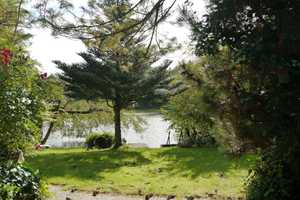 Idyllisches Ferienhaus – Emsland (Kreis) – Vorschaubild 2